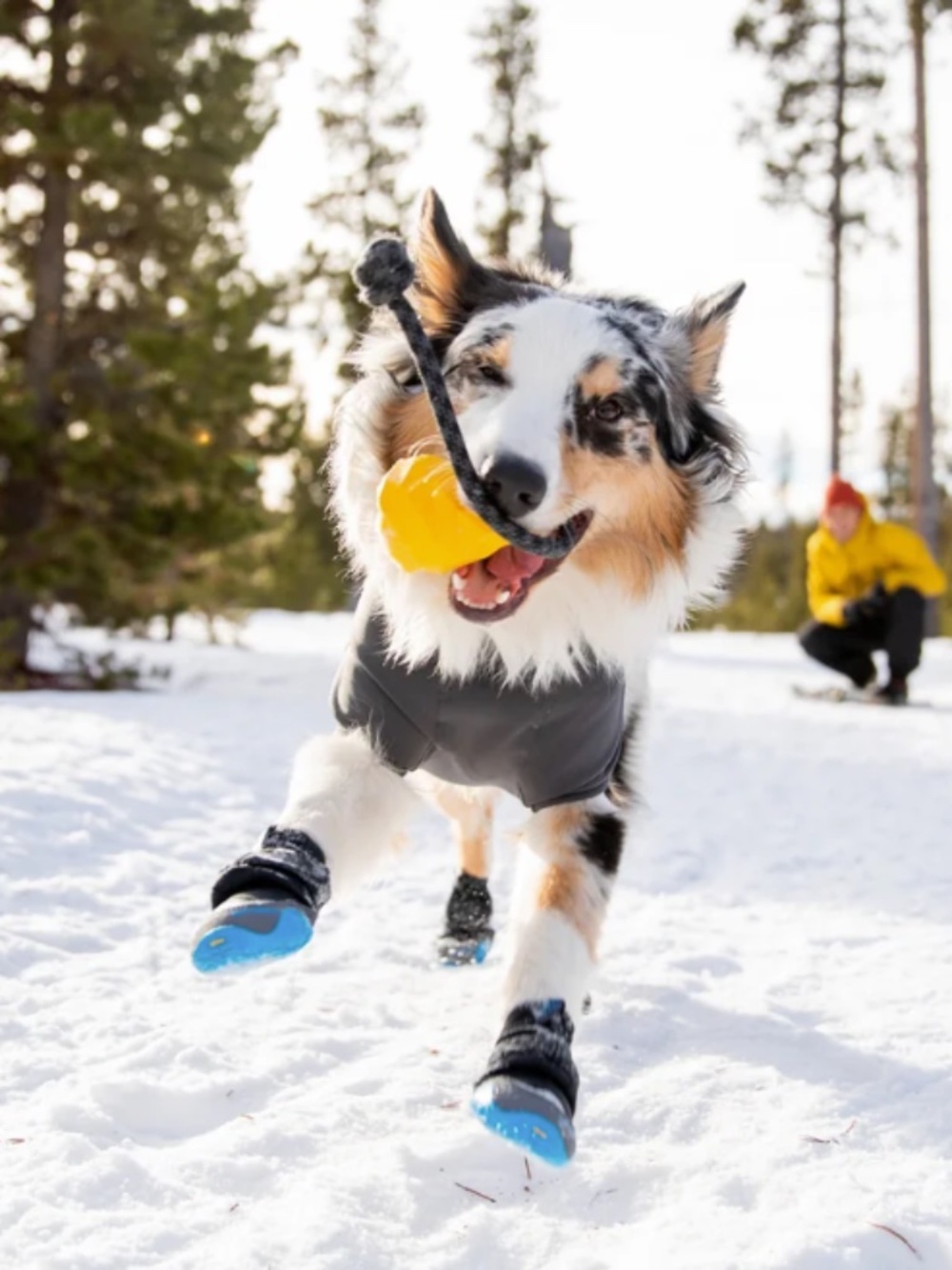 EUC Ruffwear Polar Trex Dog Boots - 4 total - 2= 2.25 in, 2 = 2.50 in